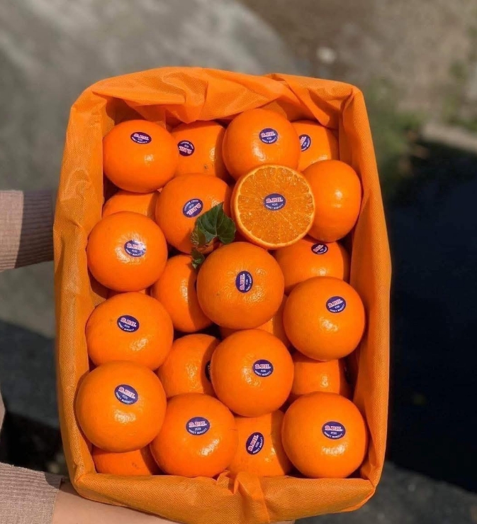 A hand holding an orange fabric box filled with labelled fresh oranges, one cut in half to show its juicy interior