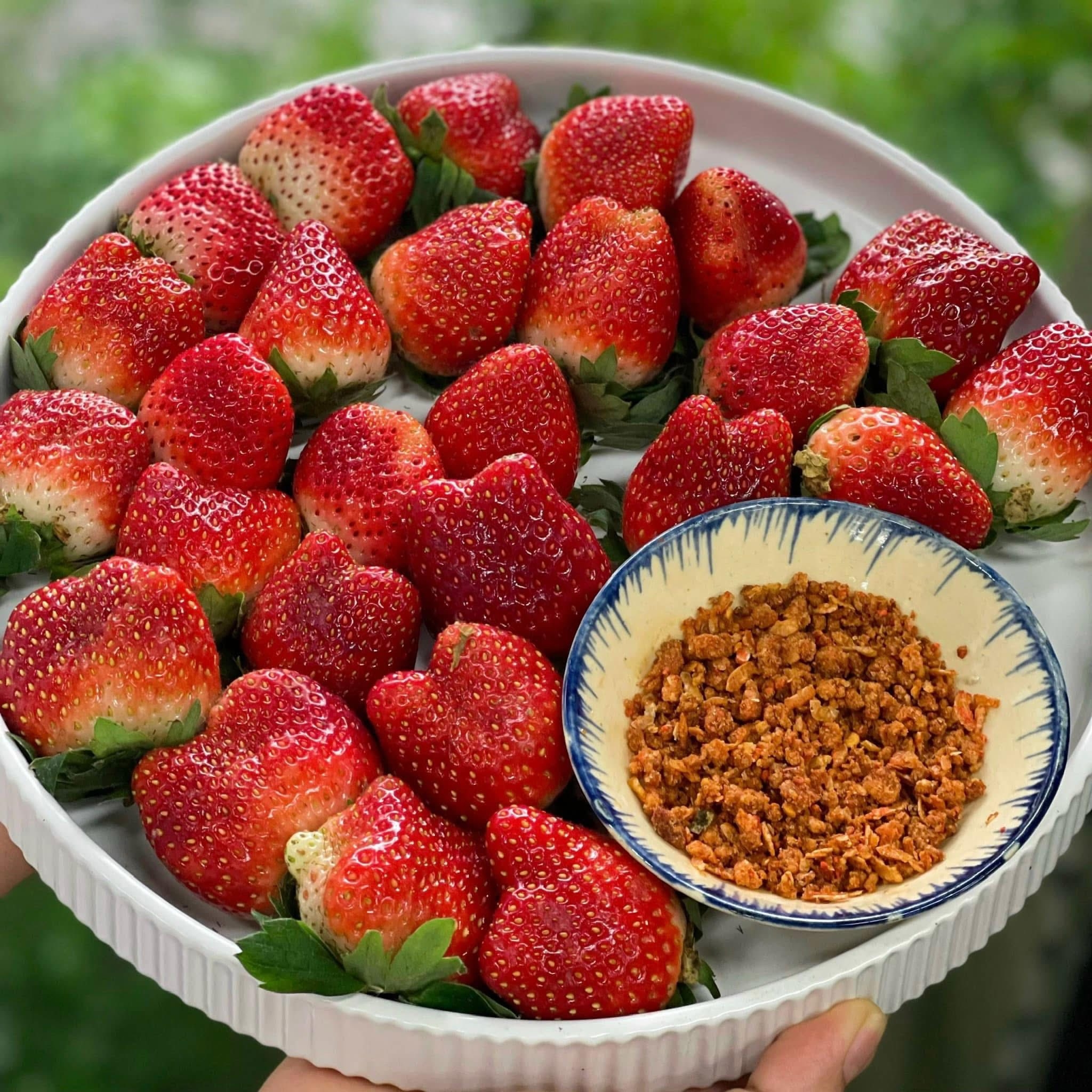 A hand holding a white plate of fresh red strawberries with a small bowl of chili salt dip against a green leafy background