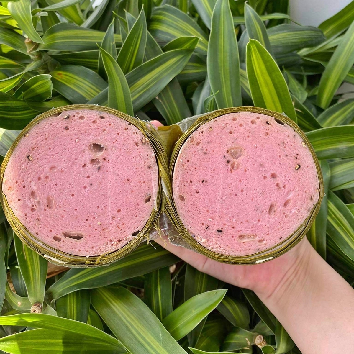 Hand holding two cut halves of a pink pork loaf wrapped in leaves, showing the porous interior, over plants