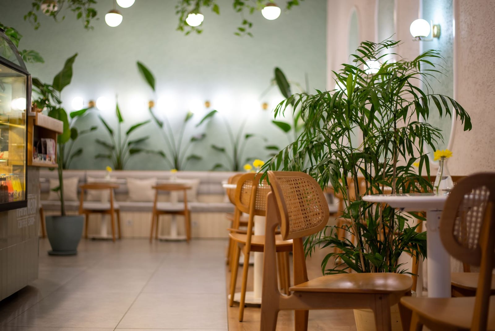 A cozy independent cafe with wooden tables, plants, and warm lighting — the kind of quiet local spot Da Nang is full of.