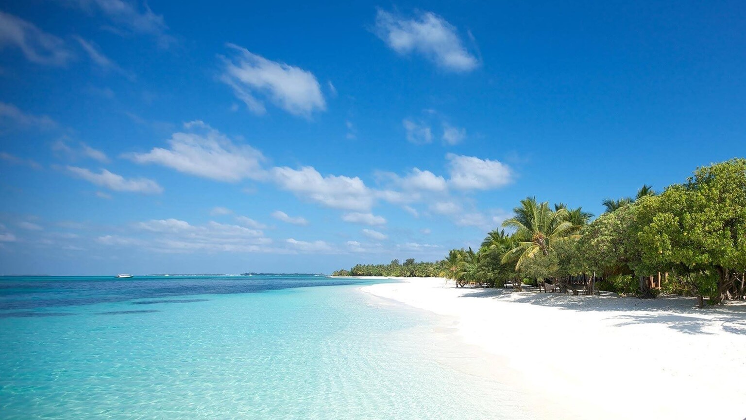Soft white sand and clear turquoise water on a beach near Hoi An.