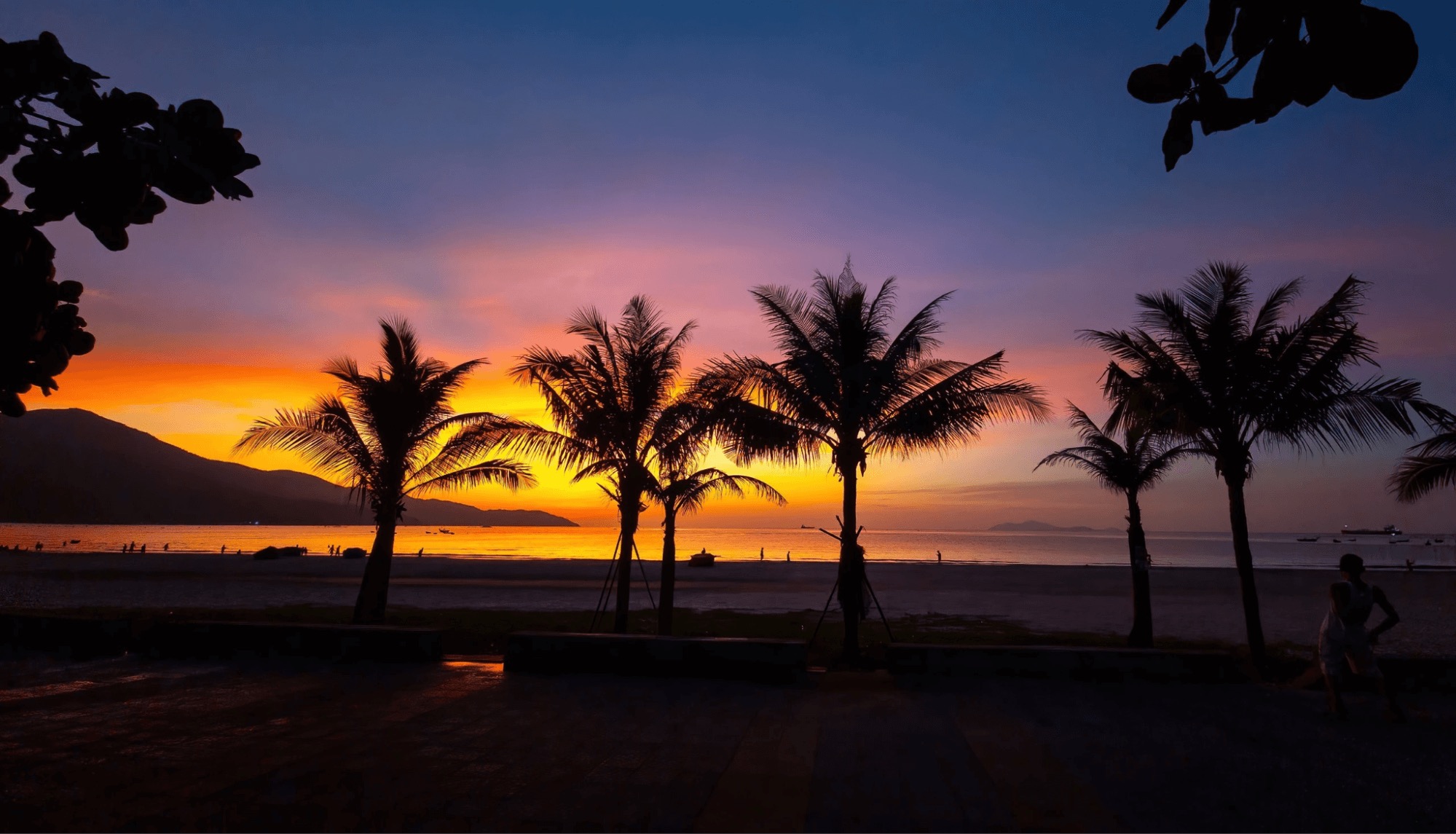 Palm trees silhouetted against a colourful sunset over My Khe Beach, Da Nang.