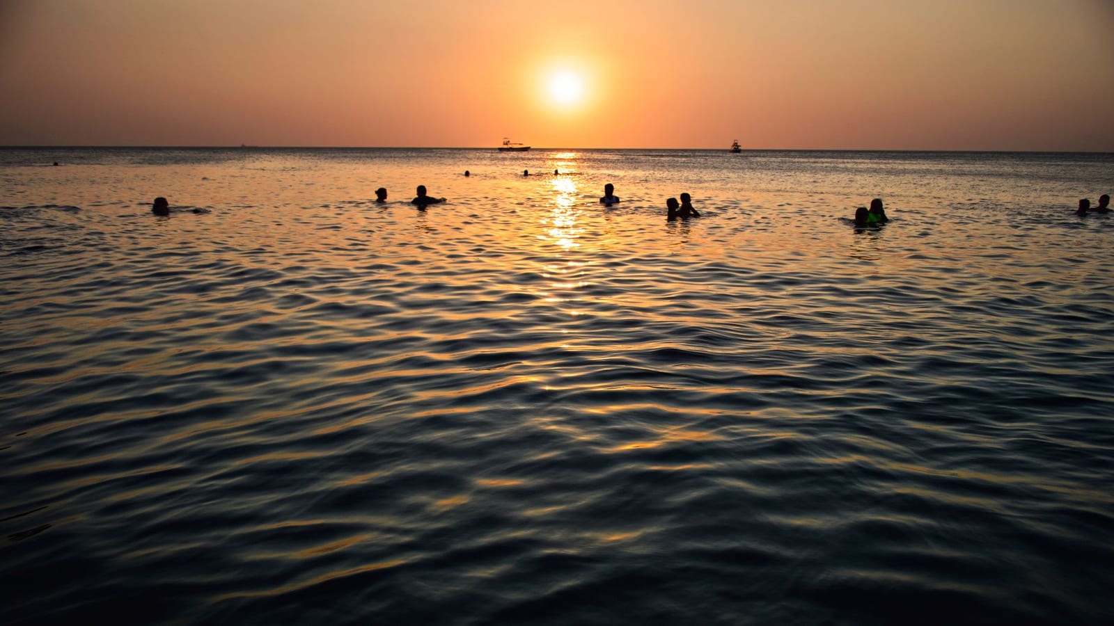 Swimmers enjoying calm, gentle water in soft evening light.