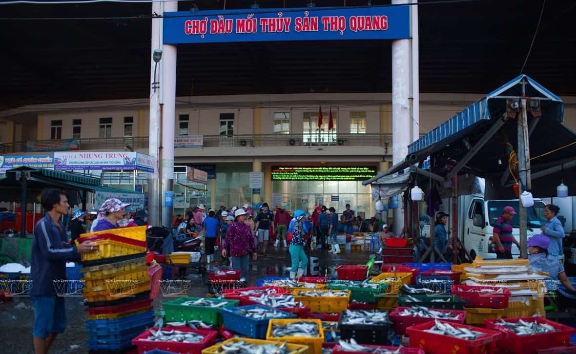 Chợ Hải Sản Thọ Quang, the wholesale seafood market at the Thọ Quang fishing port in Sơn Trà, Da Nang.