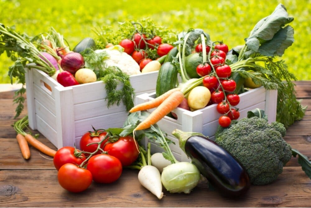 Crates of freshly harvested vegetables — tomatoes, carrots, broccoli, cauliflower and more — out in the open.