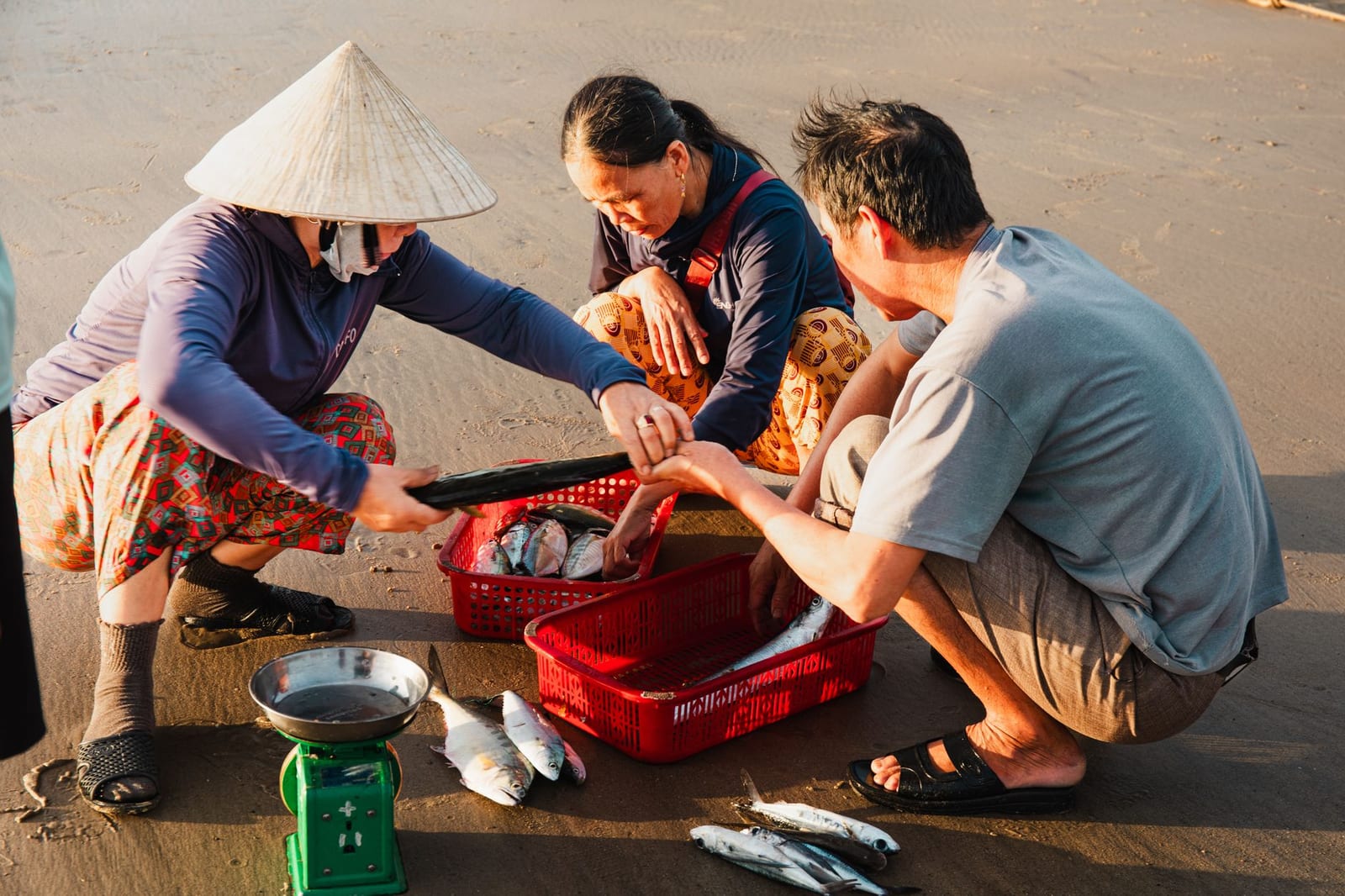 Fresh fish and shellfish laid out at a coastal Vietnamese market — the kind of day's catch that fills these local kitchens.