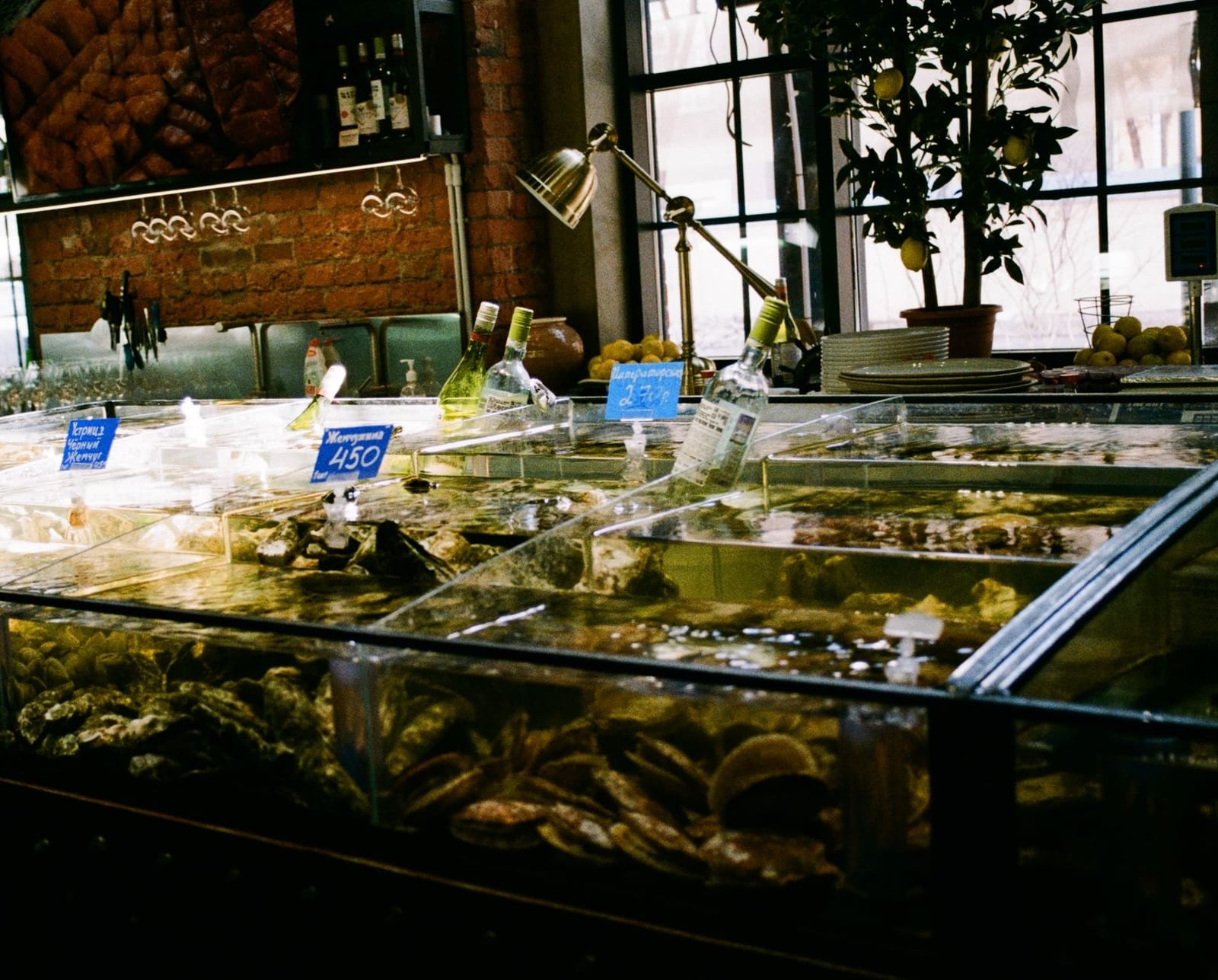 Live seafood tanks with crab, prawns and fish at a Vietnamese seafood restaurant